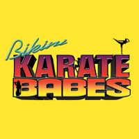 Bikini Karate Babes (PC cover