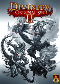 Game Divinity: Original Sin II (PC) cover