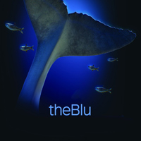 theBlu (PC cover