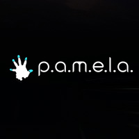 Okładka P.A.M.E.L.A. (PC)