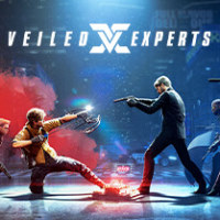 Veiled Experts (PC cover