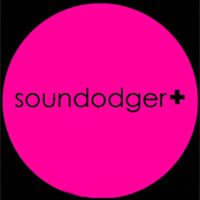Okładka Soundodger+ (PC)