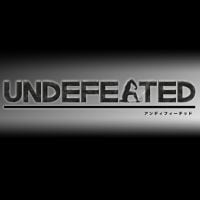 Undefeated (PC cover