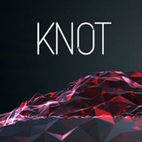 Knot (PS4 cover