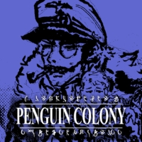 Penguin Colony