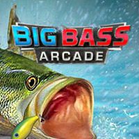 Okładka Big Bass Arcade (Wii)