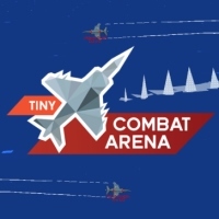 Okładka Tiny Combat Arena (PC)