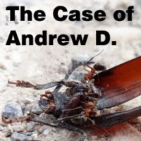 Okładka The Case of Andrew D. (PC)