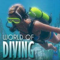 Okładka World of Diving (PS4)