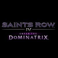 Saints Row IV: Enter the Dominatrix (PC cover