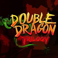 Double Dragon Trilogy (PC cover