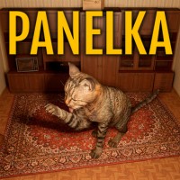 Okładka Panelka (PC)