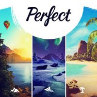 Perfect (PS4 cover