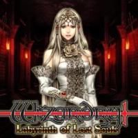 Game Box forWizardry: Labyrinth of Lost Souls (PC)