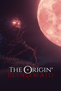 The Origin: Blind Maid (PS4 cover