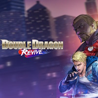 Double Dragon Revive (PC cover