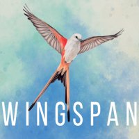 Game Box for Wingspan (PC)