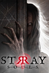 Stray Souls (PS5 cover