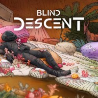 Okładka Blind Descent (PC)