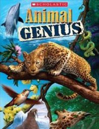Animal Genius (PC cover