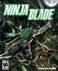 Okładka Ninja Blade (PC)