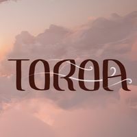 Okładka Toroa: Skycall (PC)
