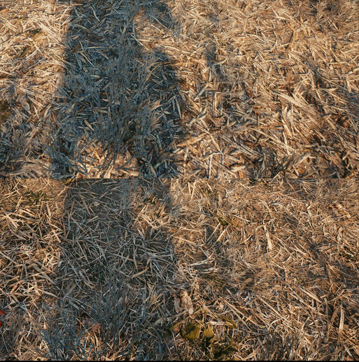 Na górze standardowa wersja gry, na dole wersja z modem. - 2024-08-07