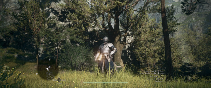 Dragon's Dogma II mod Simple Realistic Reshade 3D for DD2 v.1.0