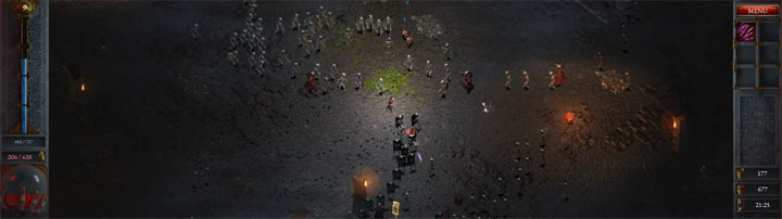 Halls of Torment mod Ultrawide and wider v.1.1