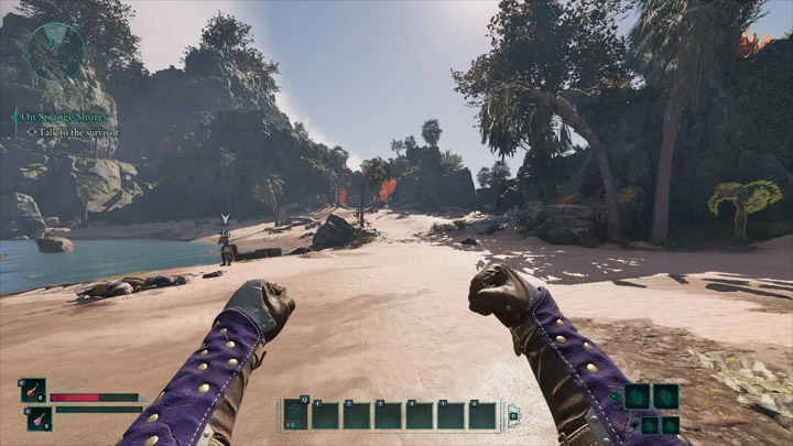 Avowed mod Disable vignette v.1.0.0.0