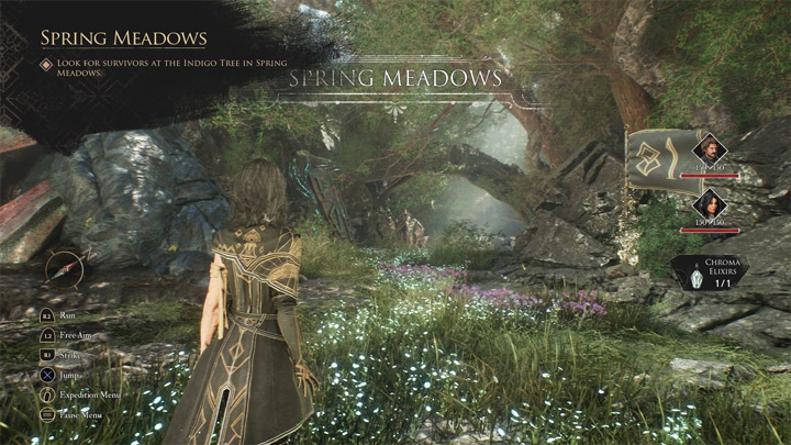 Clair Obscur: Expedition 33 mod Force PS5 Controller Icons v.5.1.0