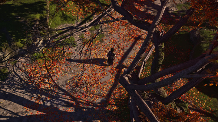 Assassin's Creed: Shadows mod Real Life ACS Reshade v.1.0