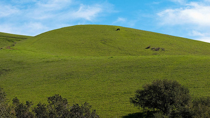 Men of War: Oddział Szturmowy mod Hill Push v.12022016