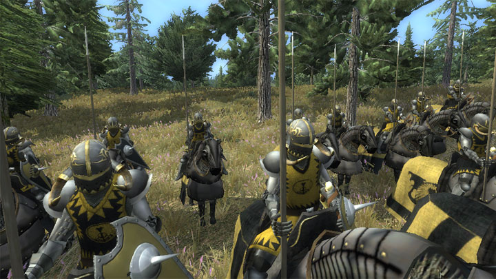 Medieval II: Total War - Królestwa mod Faerûn/Forgotten Realms/Total War v.0.1