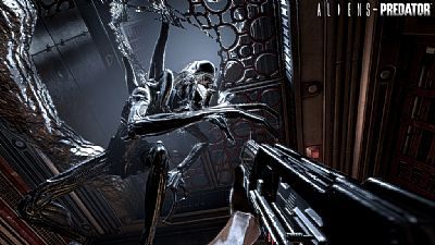 Aliens vs Predator oraz Napoleon: Total War będą wymagały Steama - ilustracja #1