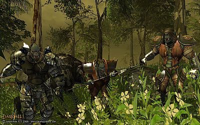 Darkfall Online wreszcie doczeka się premiery - ilustracja #3