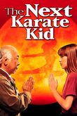 Karate Kid IV: Mistrz i uczennica