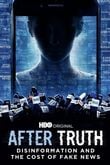 After Truth: Disinformation and the Cost of Fake News