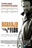 Naranjo en flor