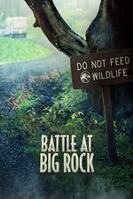 Bitwa w Big Rock