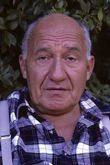 Gogol