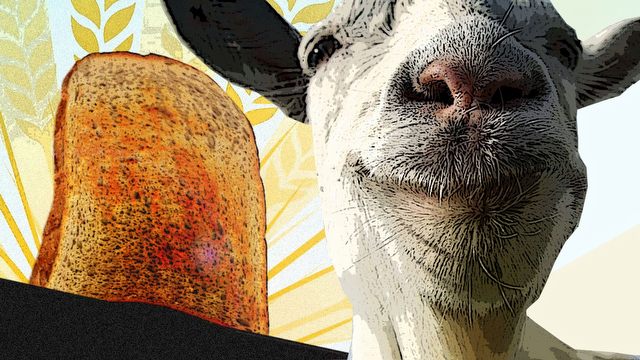 Najbardziej absurdalne symulatory świata gier