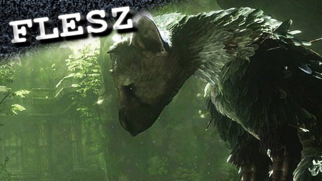 FLESZ - 19 października 2012