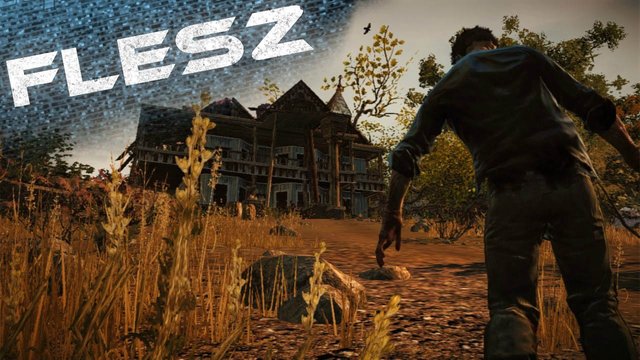 FLESZ - 5 lipca 2013