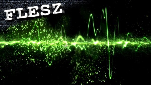 FLESZ - 25 maja