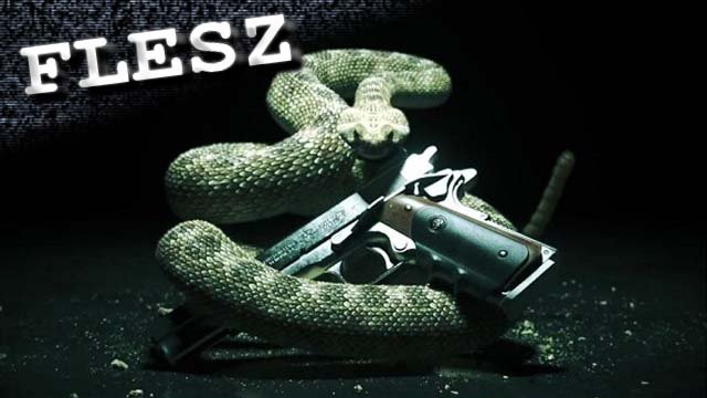 FLESZ - 12 maja 2011