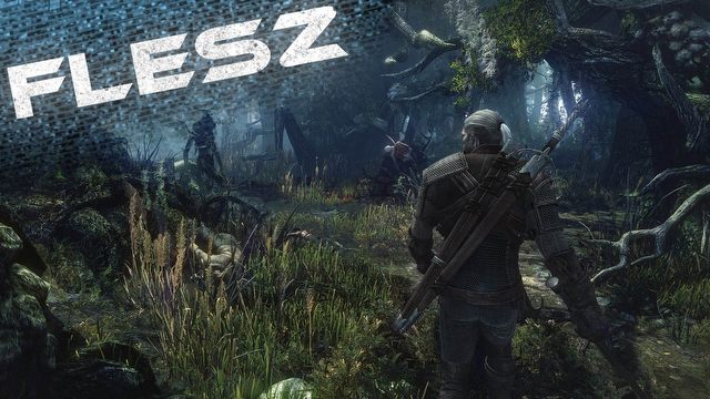 FLESZ - 29 listopada 2013