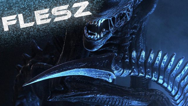 FLESZ - 22 października 2013