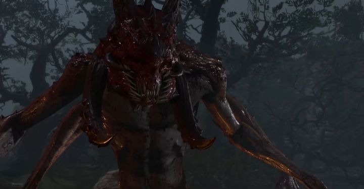 Nothing will stand in the way of die-hard Baldurs Gate 3 players. One of them thwarted devs plans and did the impossible - picture #1