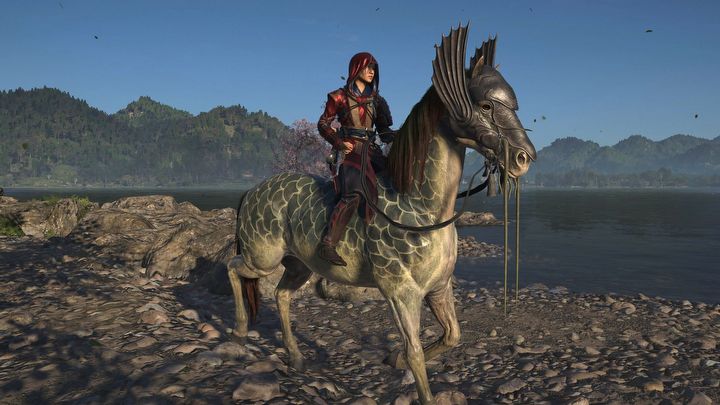 7 - Assassins Creed Shadows: Legendary Mount - Secrets and Collectibles - Assassins Creed Shadows Guide